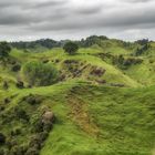 Rangiwahia Road view