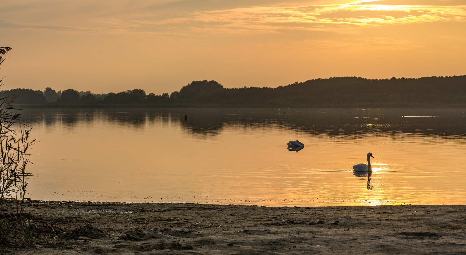 Rangsdorfer See im Dunst