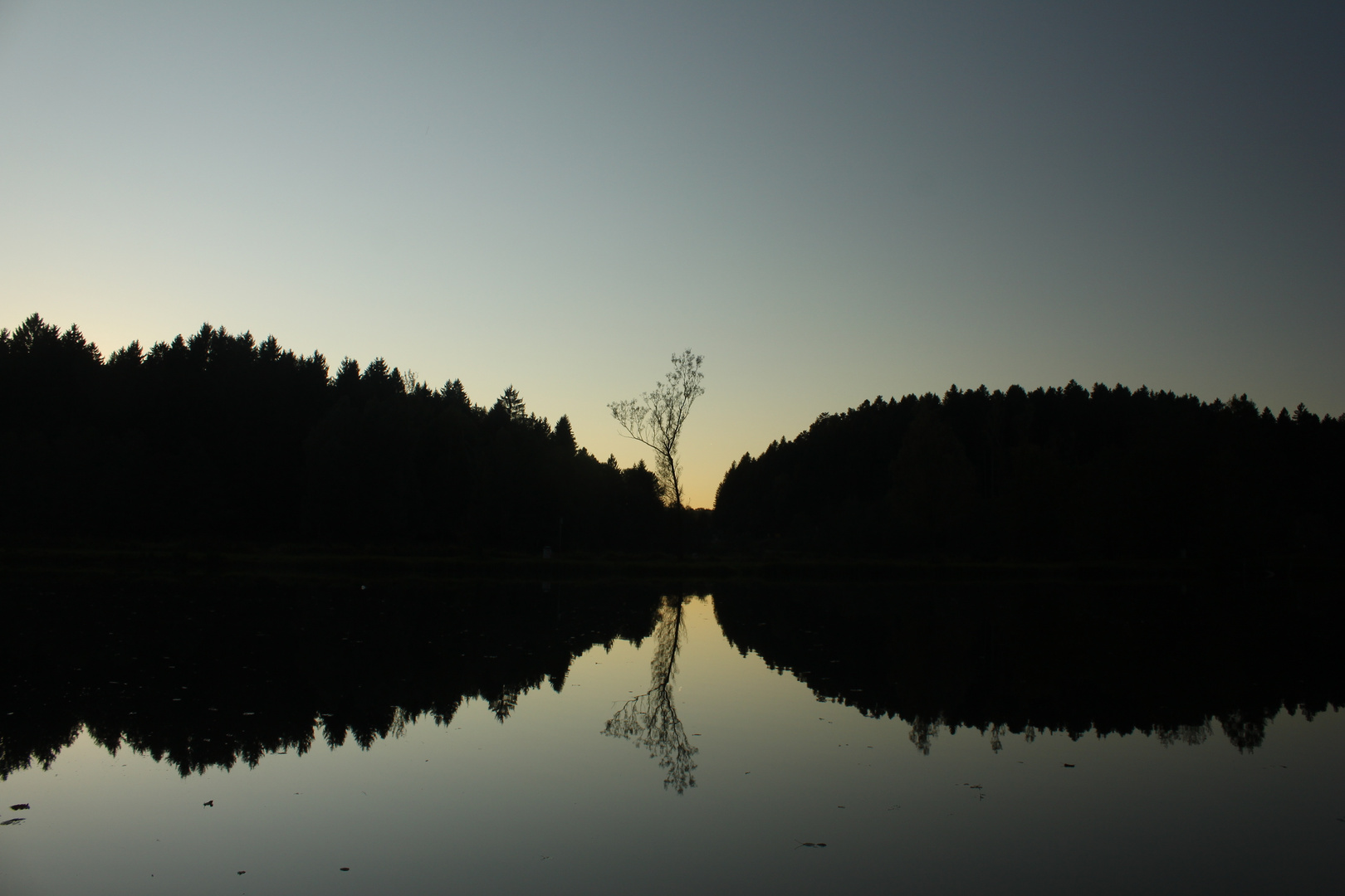 Rannastausee