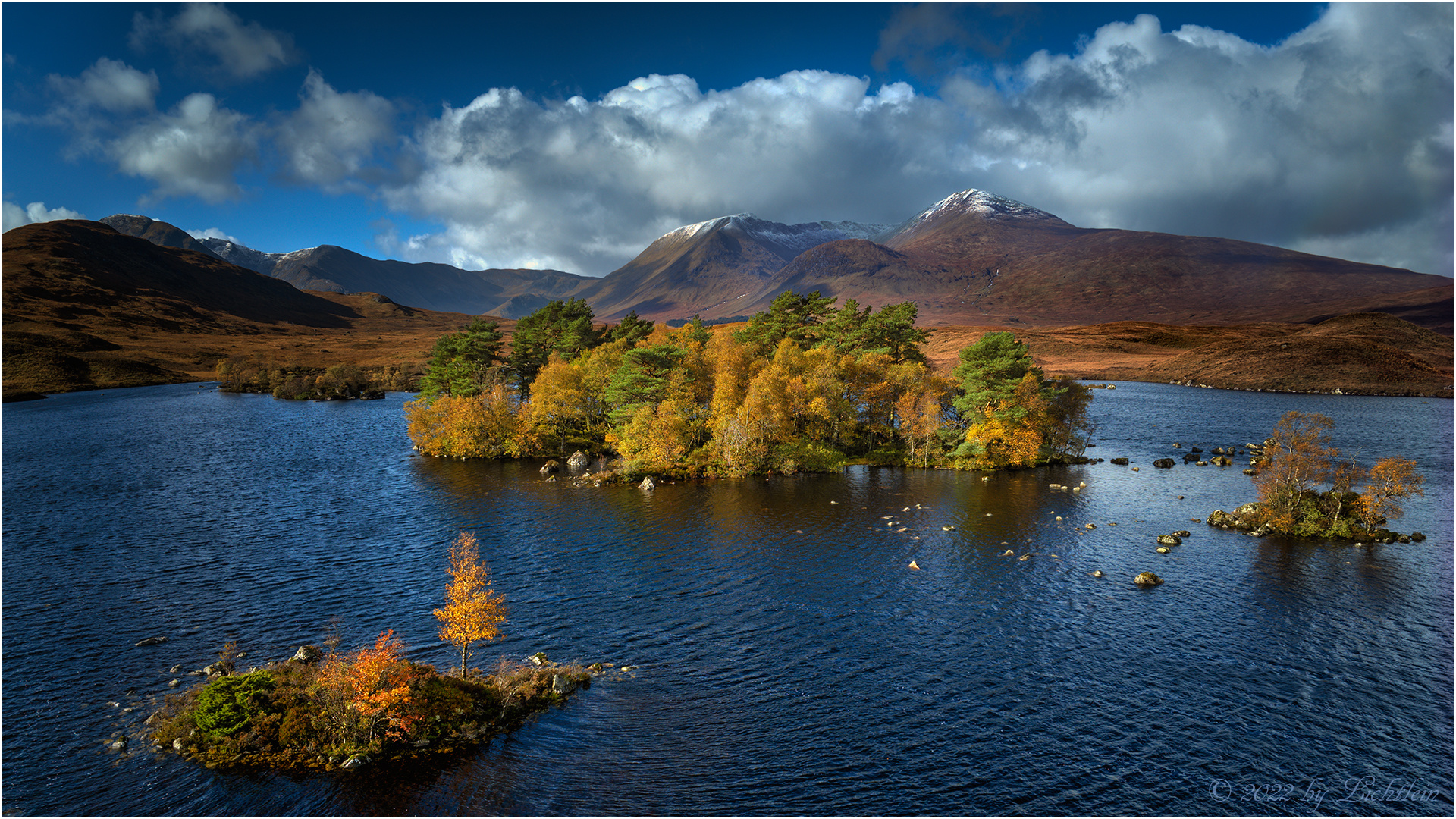 Rannoch Autumn