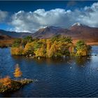 Rannoch Autumn