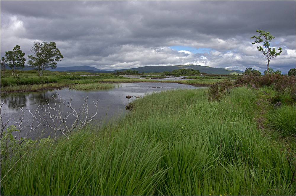 Rannoch Moor