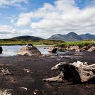 Rannoch Moor