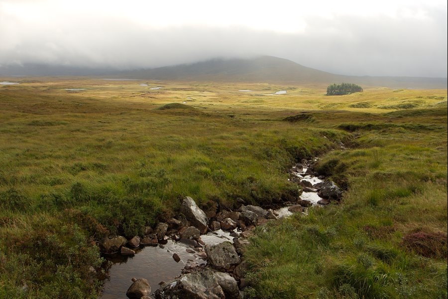 Rannoch Moor