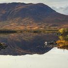 Rannoch Moor