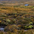 Rannoch Moor