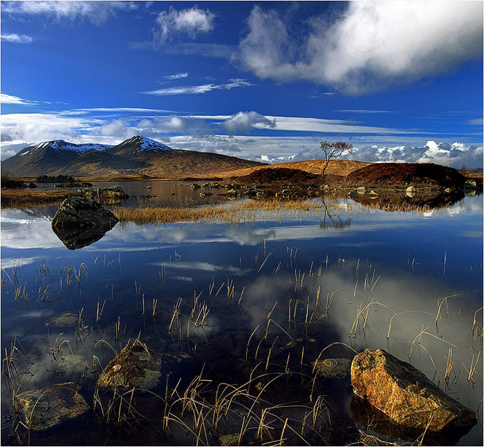 Rannoch Moor. Scotland