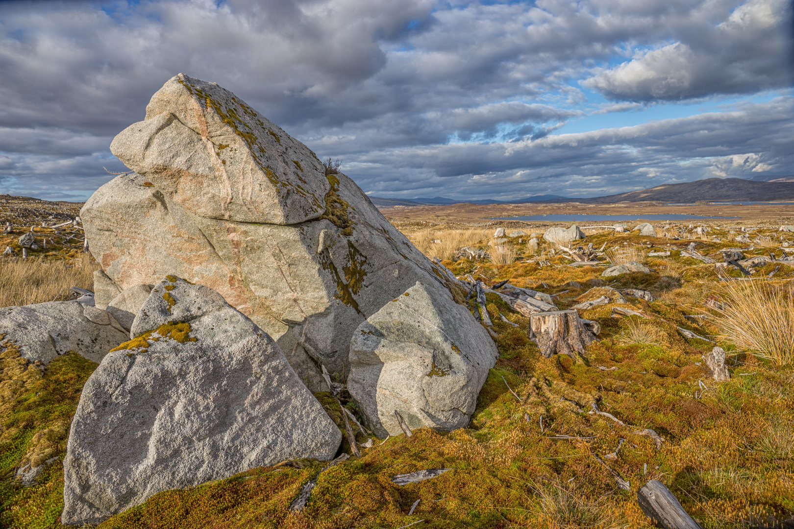 Rannoch Moore