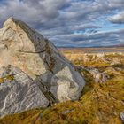 Rannoch Moore