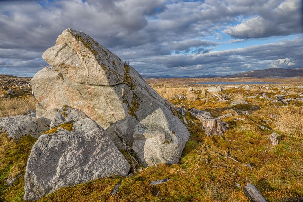 Rannoch Moore