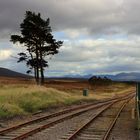 Rannoch Station 