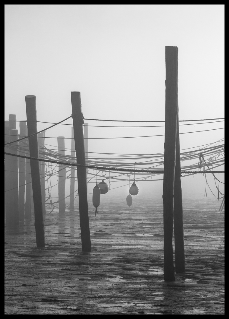 Rantum Hafen im Nebel