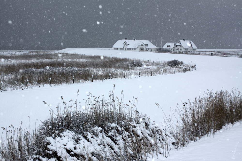 Rantum im Schnee