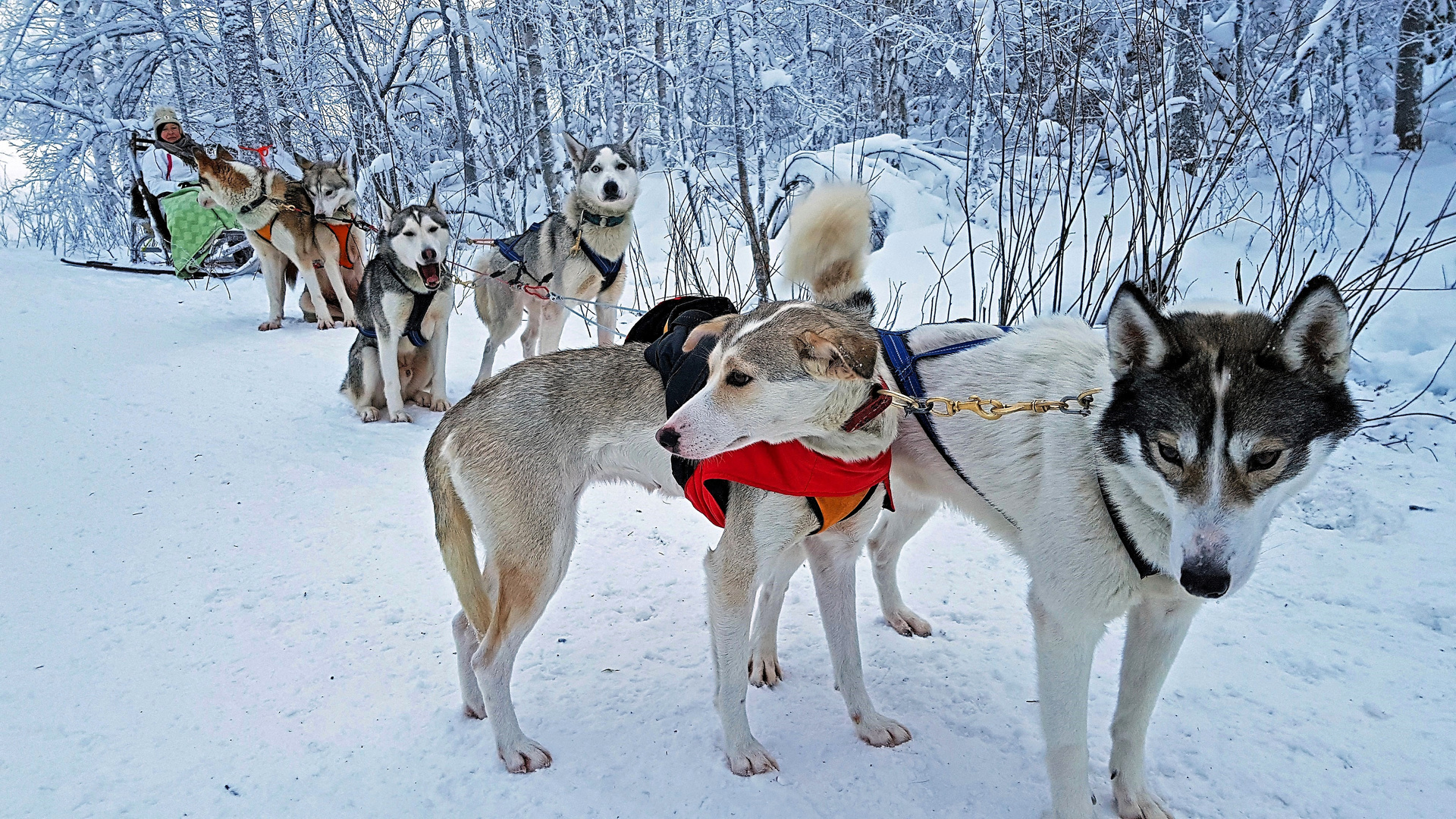 Ranua, Finnland