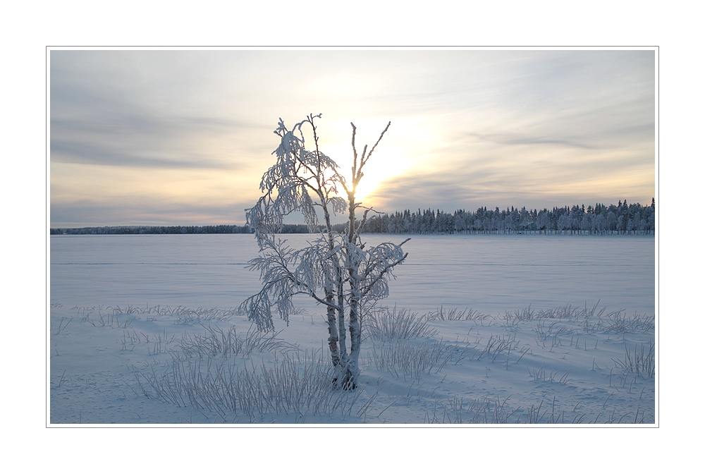 Ranua im Wintermittagslicht