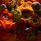 Ranunculus