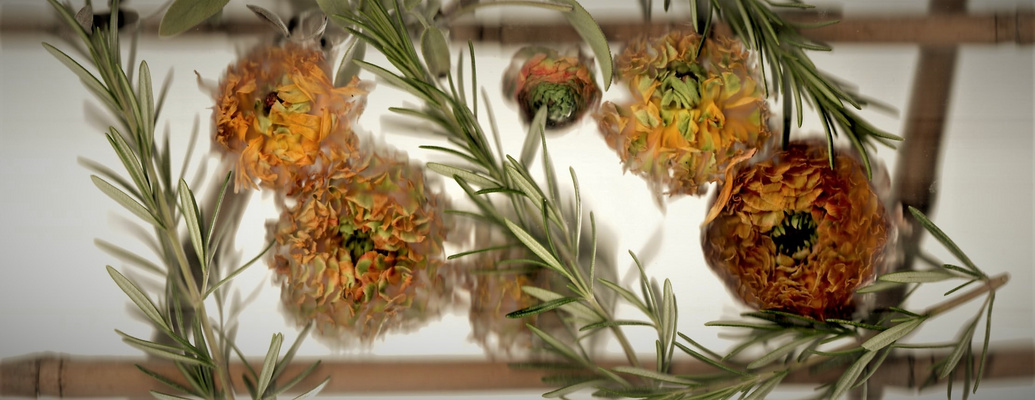 Ranunkel Rosmarin und Salbei an Bambus