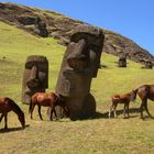 Rapa Nui