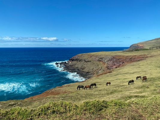 RAPA NUI -EASTER ISLAND 