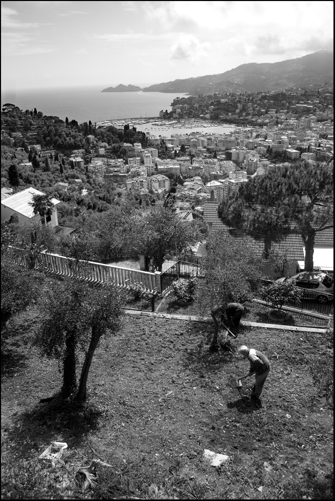 Rapallo