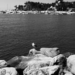 Rapallo - Il porto