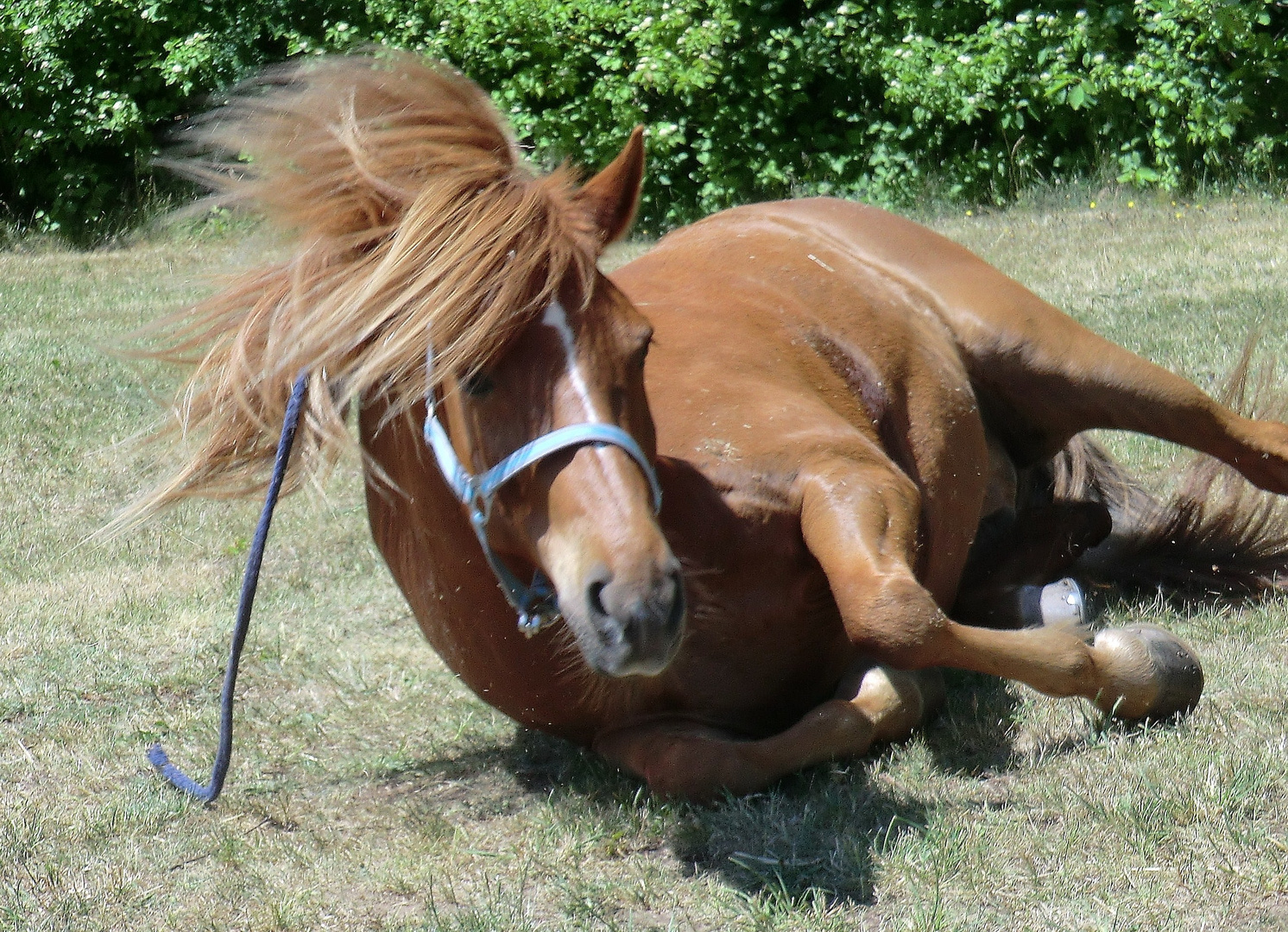 Rapdur