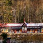 Raphael am Waldhang mit Neuschnee