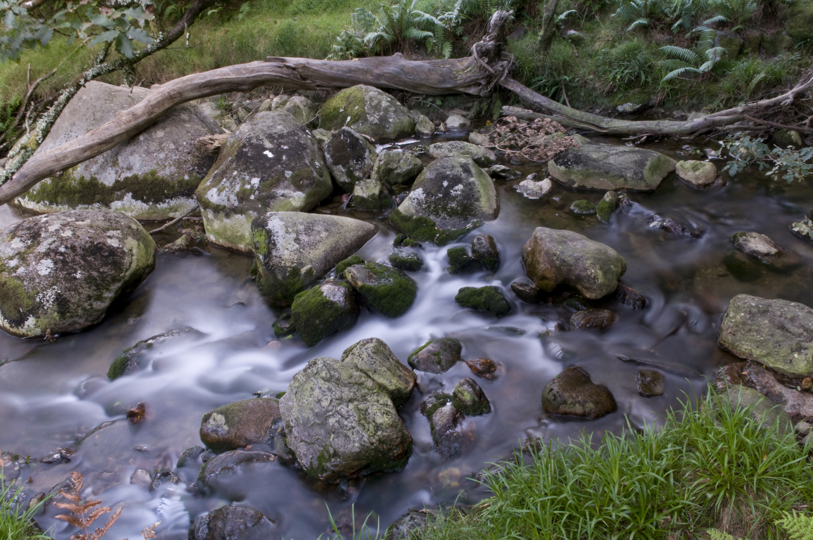 Rapids near Glendalough, County Wicklow