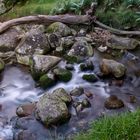 Rapids near Glendalough, County Wicklow