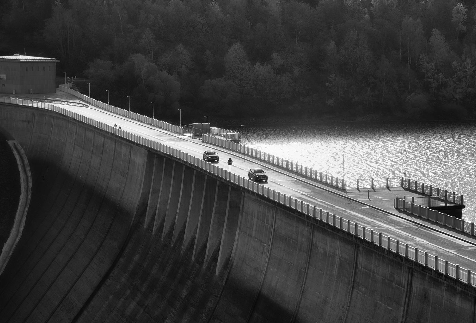 Rappbodetalsperre im Harz in B&W