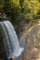 Rappenlochschlucht