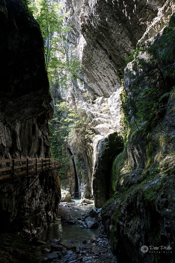 Rappenlochschlucht II