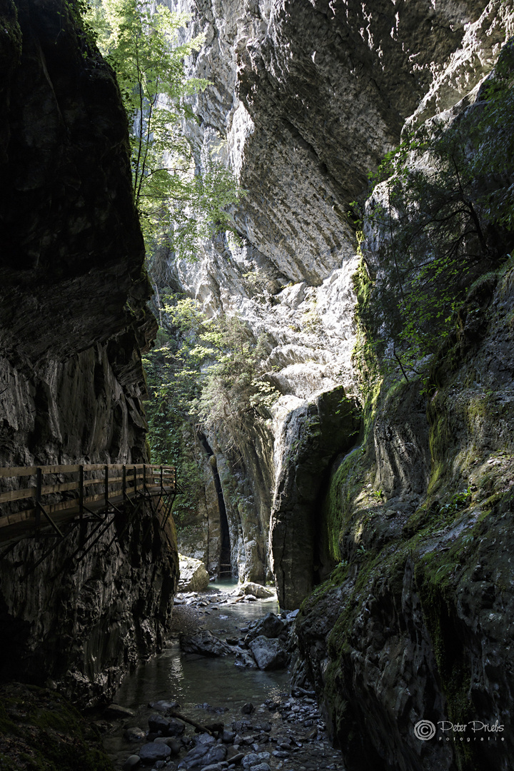 Rappenlochschlucht II