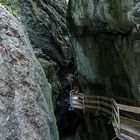 Rappenlochschlucht IV