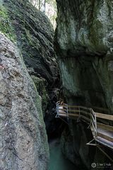 Rappenlochschlucht IV