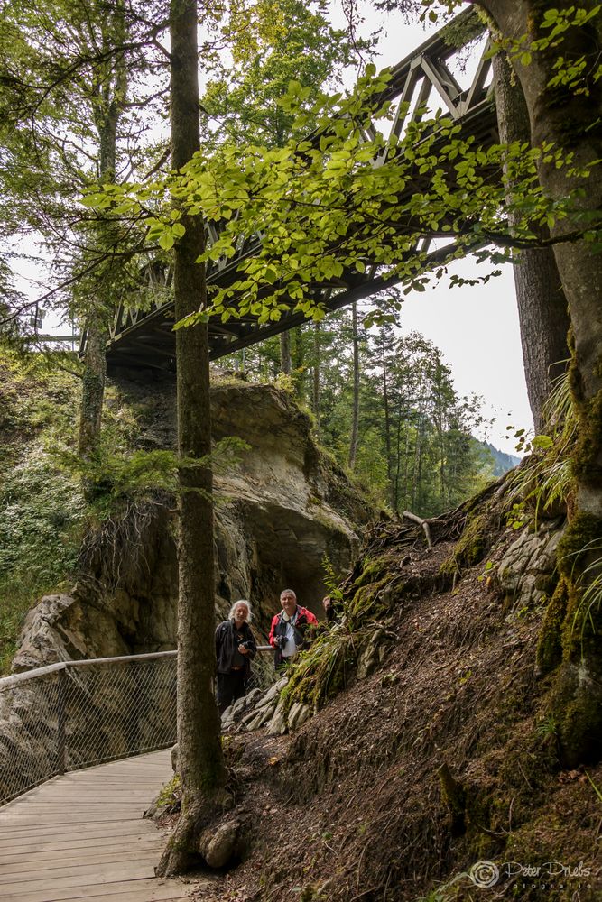 Rappenlochschlucht VI