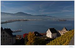 "Rapperswil" Meteo: Leichter Dunst an den Voralpen"