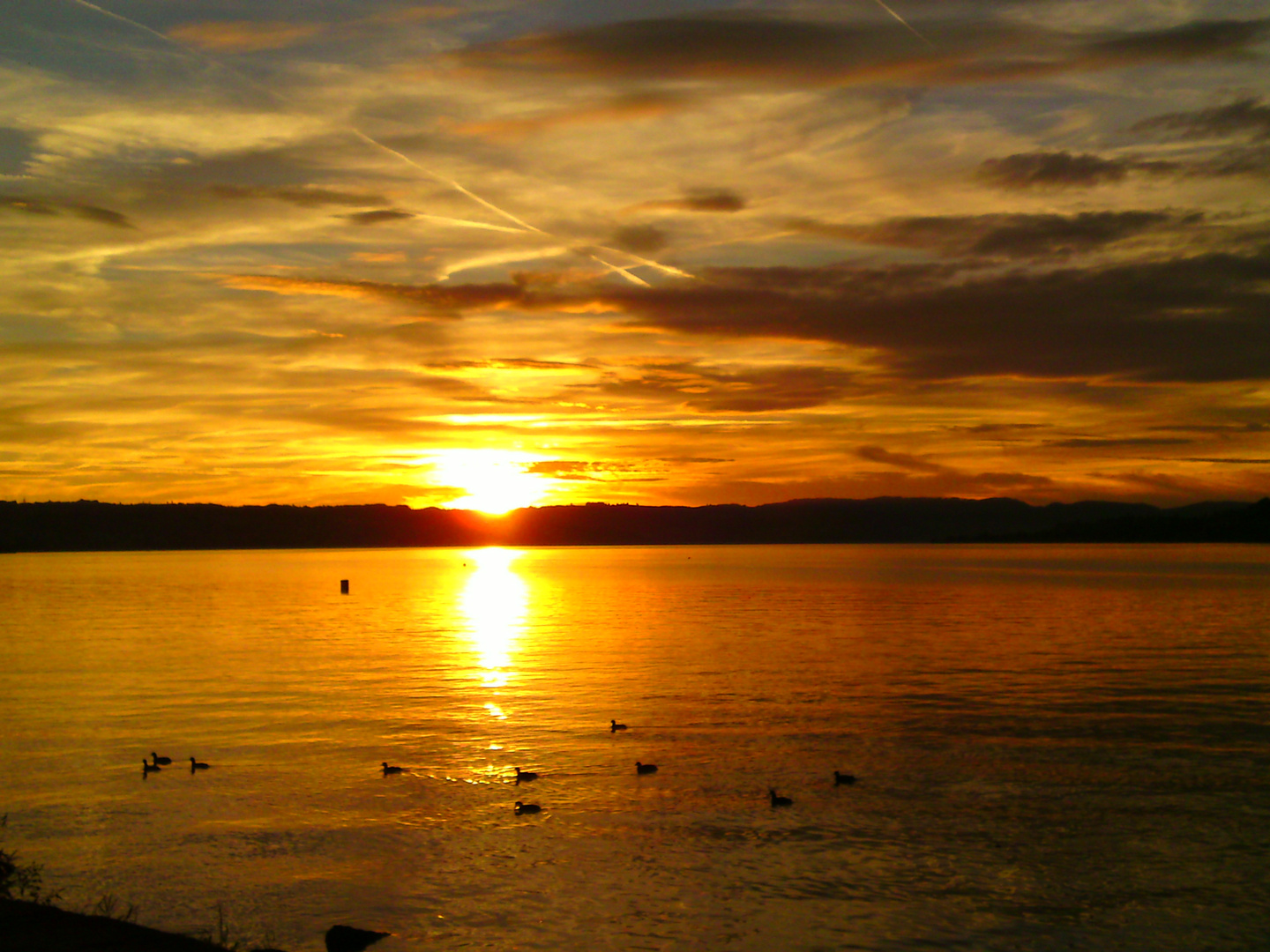 Rapperswil Sunset 2