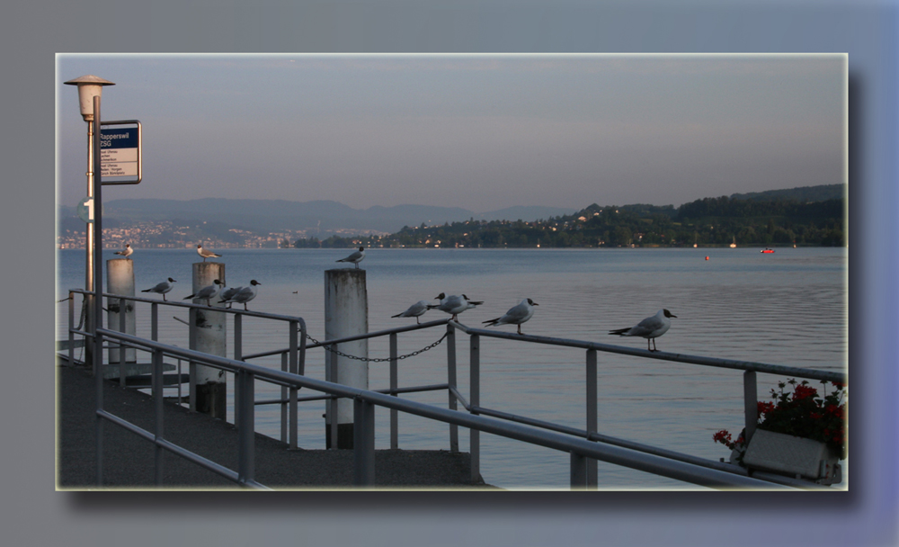 "Rapperswil"  Wann wird es endlich wieder Sommer?