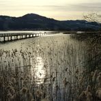 Rapperswil...01