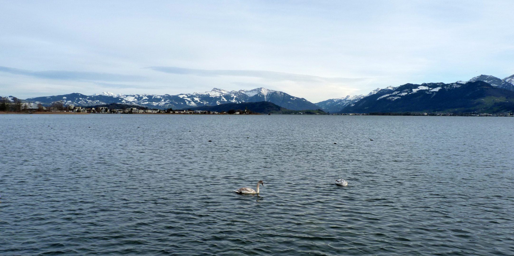 Rapperswil...02