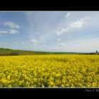 Rappsfelder auf dem Laurenziberg