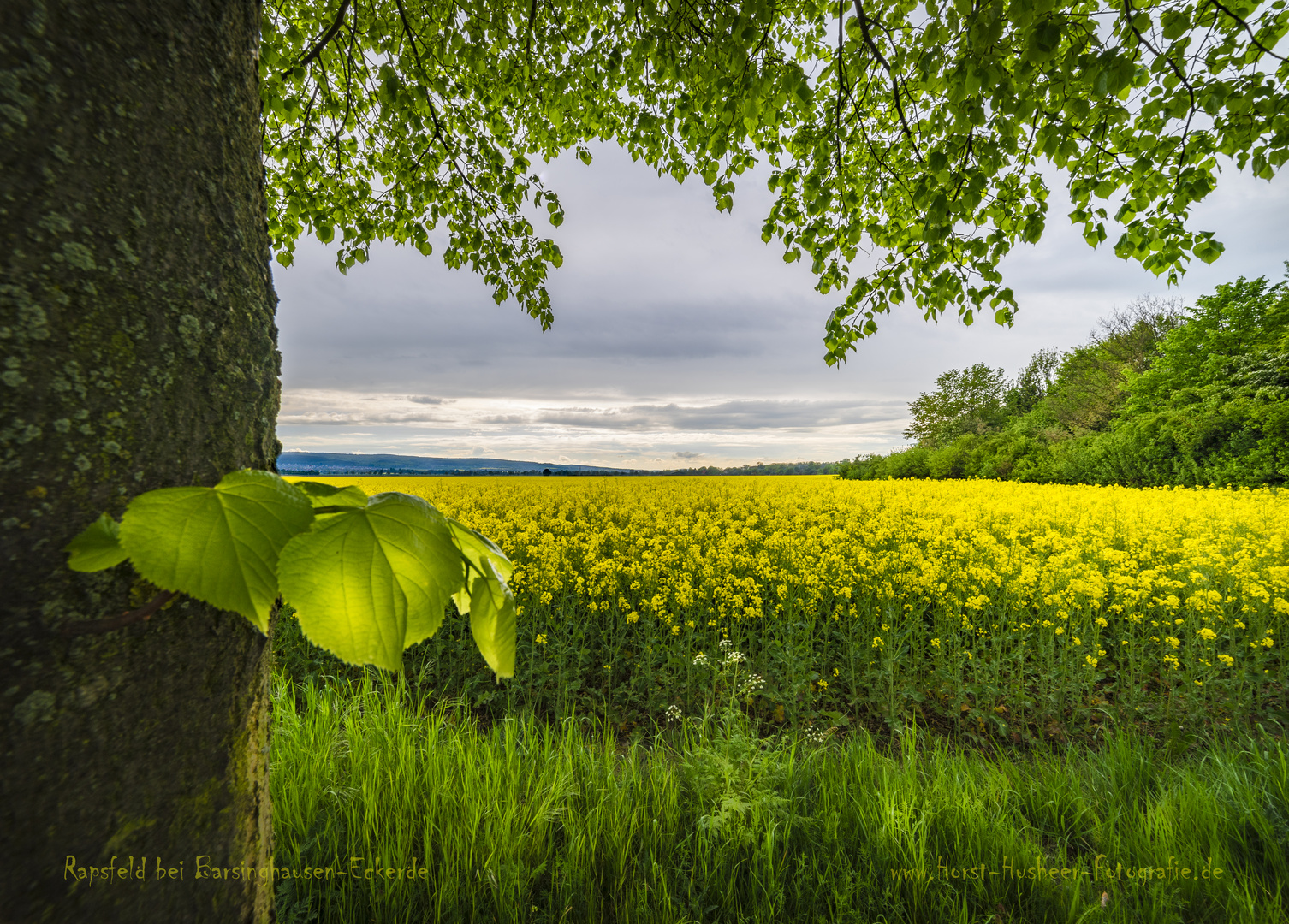 Rappsfelder bei Barsinghausen-Eckerde