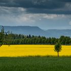 Raps, Alb und Wolken