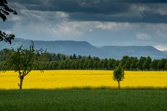 Raps, Alb und Wolken