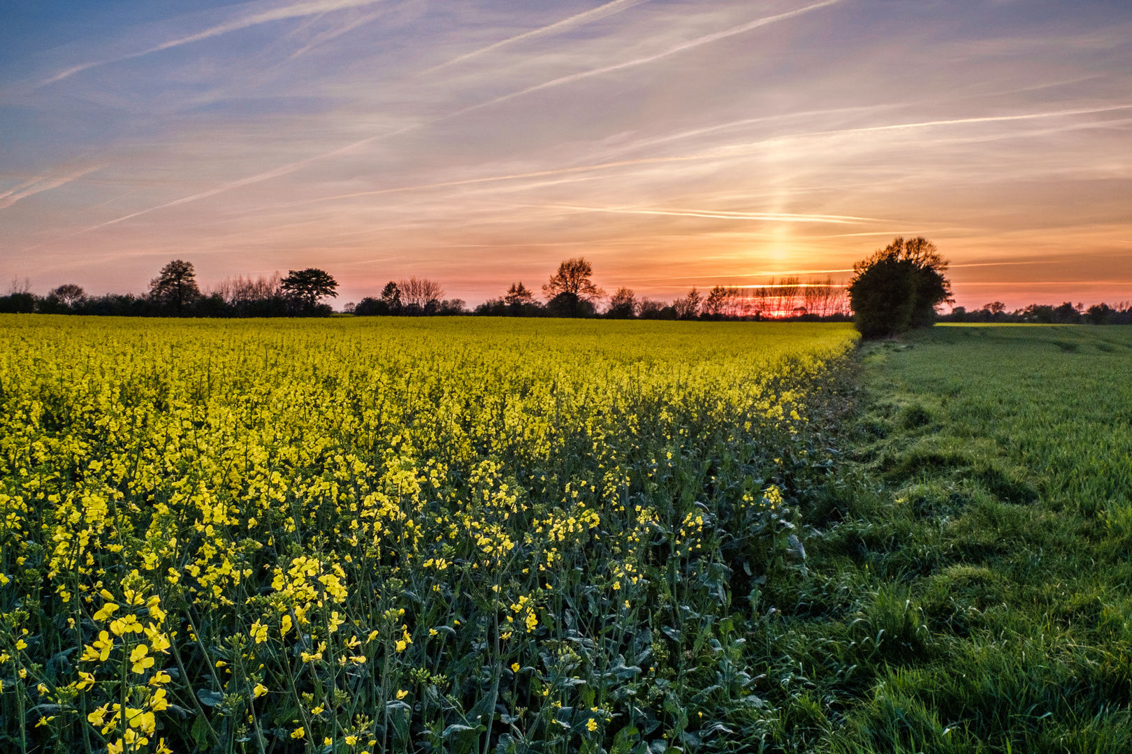 Raps am Abend