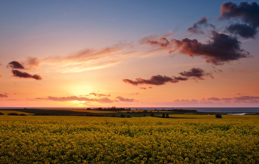 raps am abend