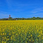 Raps am Kap Arkona