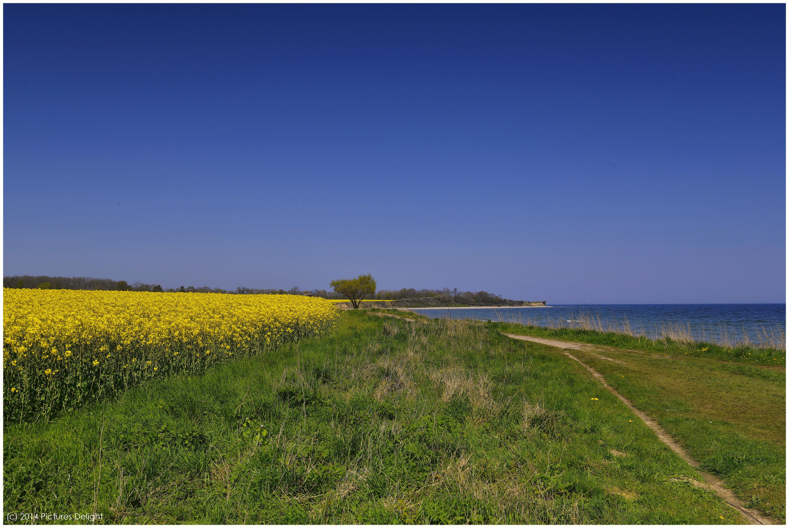 - Raps am Meer -