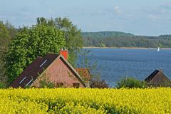 Raps am Ratzeburger See